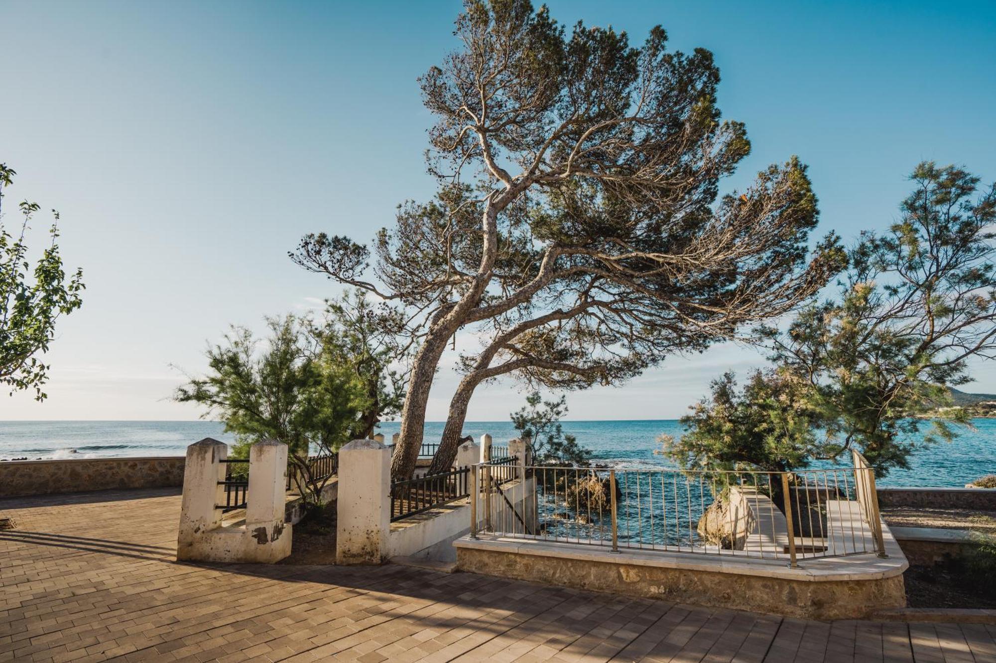 Sa Punta Duplex Cala Ratjada Apartamento Cala Ratjada  Exterior foto
